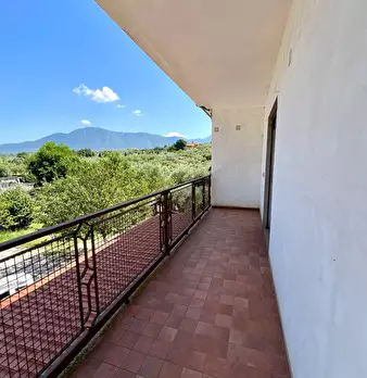 Foto annuncio 36