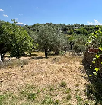 Foto annuncio 51