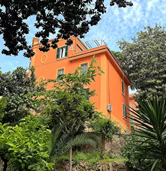 Foto annuncio 8