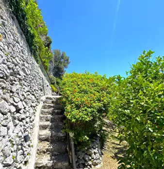 Foto annuncio 81