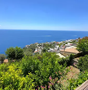 Foto annuncio 82