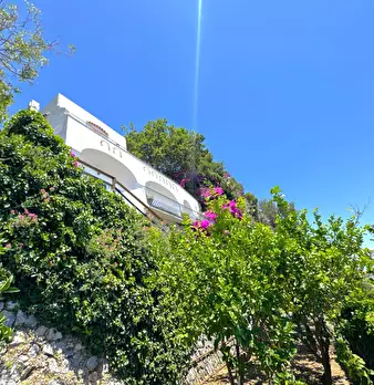 Foto annuncio 88