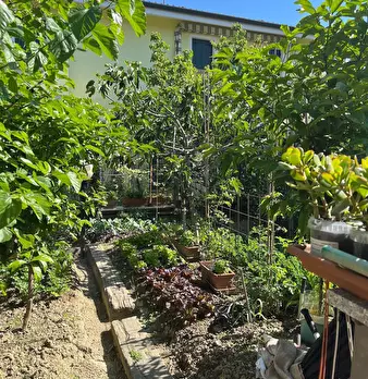 Foto annuncio 5