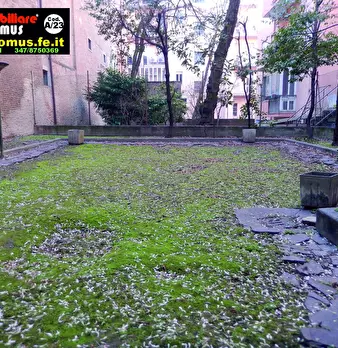 Foto annuncio 31
