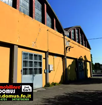 Foto annuncio 15