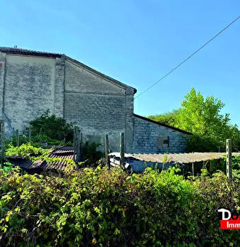 Foto annuncio 2