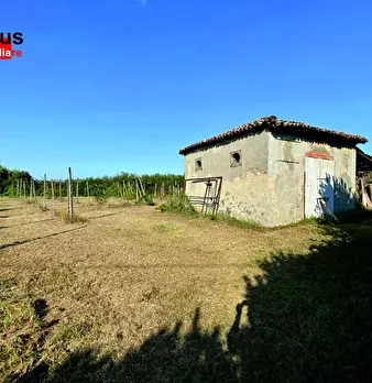 Foto annuncio 4