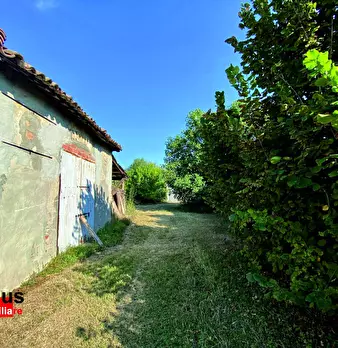 Foto annuncio 5
