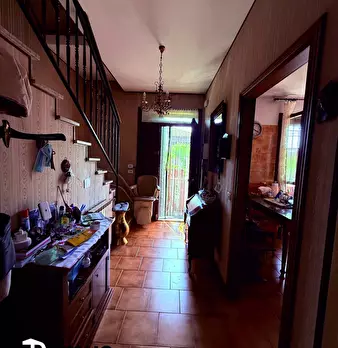 Foto annuncio 11