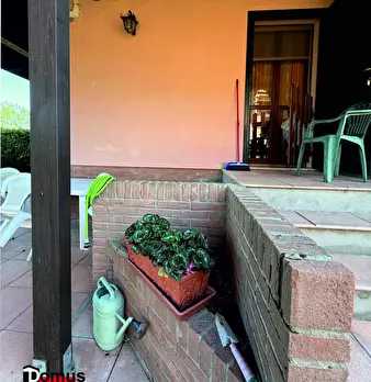 Foto annuncio 46