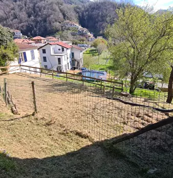Foto annuncio 5