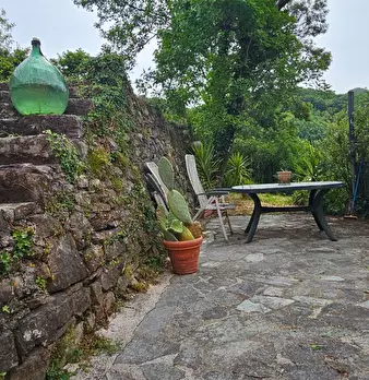 Foto annuncio 6