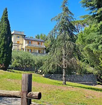 Foto annuncio 1