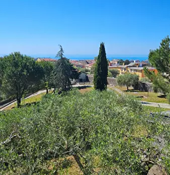 Foto annuncio 6