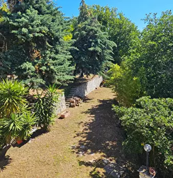 Foto annuncio 8