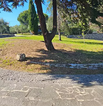Foto annuncio 35