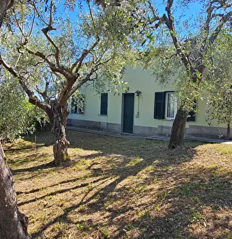 Foto annuncio 36
