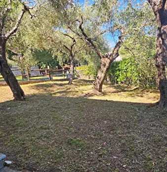 Foto annuncio 40