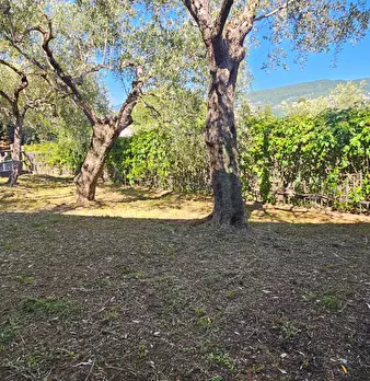 Foto annuncio 41