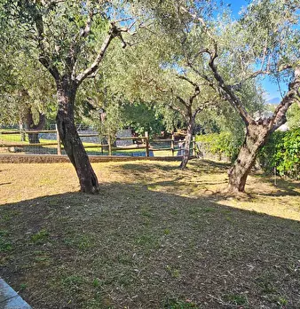 Foto annuncio 42