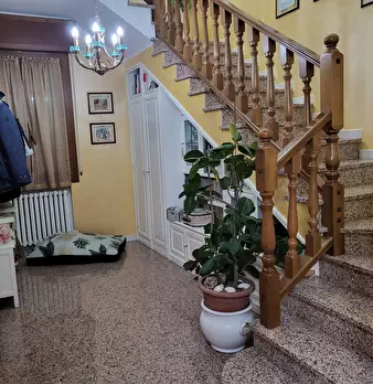 Foto annuncio 7
