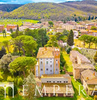 Foto annuncio 5