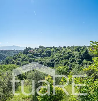 Foto annuncio 24