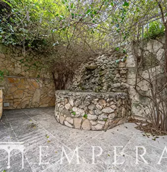 Foto annuncio 12