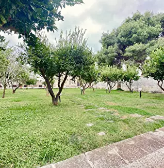 Foto annuncio 24