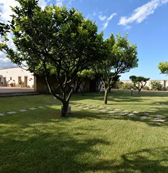 Foto annuncio 25