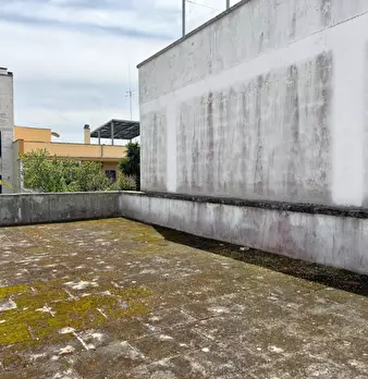 Foto annuncio 19