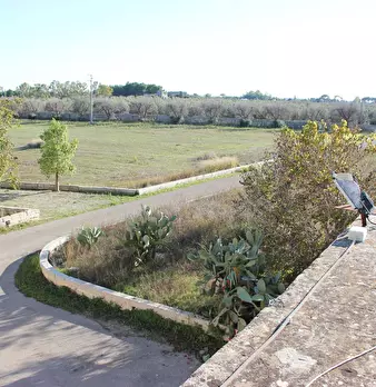 Foto annuncio 8