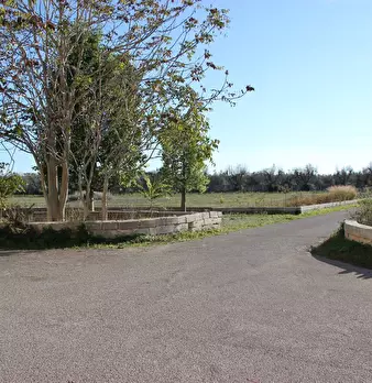 Foto annuncio 15