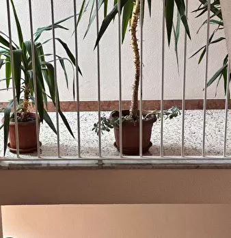 Foto annuncio 17