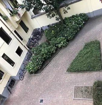 Foto annuncio 8