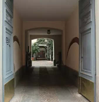 Foto annuncio 49