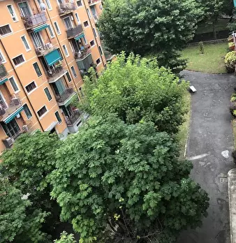 Foto annuncio 7