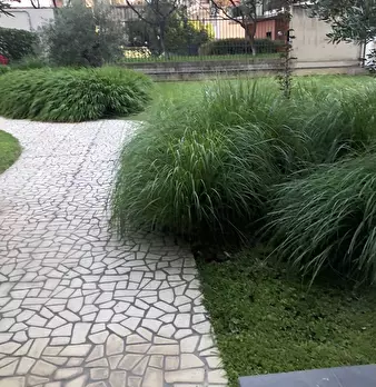 Foto annuncio 21