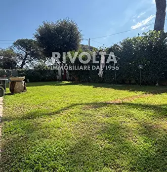 Foto annuncio 30