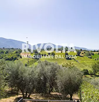 Foto annuncio 34