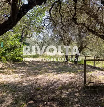 Foto annuncio 38