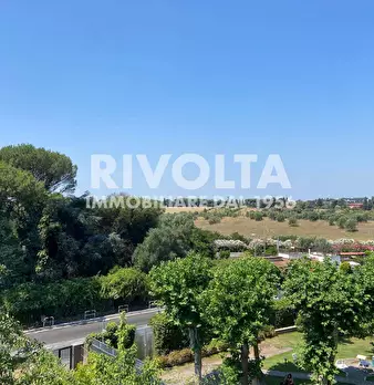 Foto annuncio 35