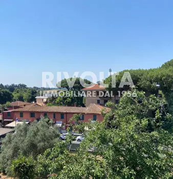 Foto annuncio 36