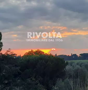 Foto annuncio 45