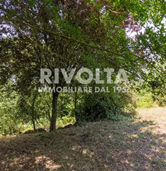 Foto annuncio 43