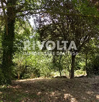 Foto annuncio 7
