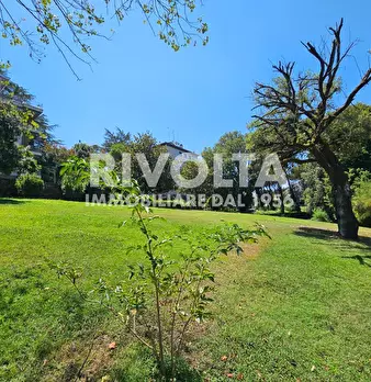 Foto annuncio 31