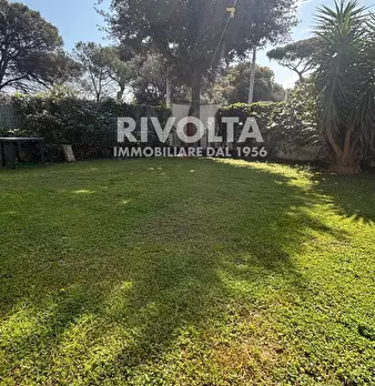 Foto annuncio 25