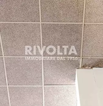 Foto annuncio 29