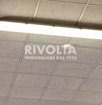 Foto annuncio 30